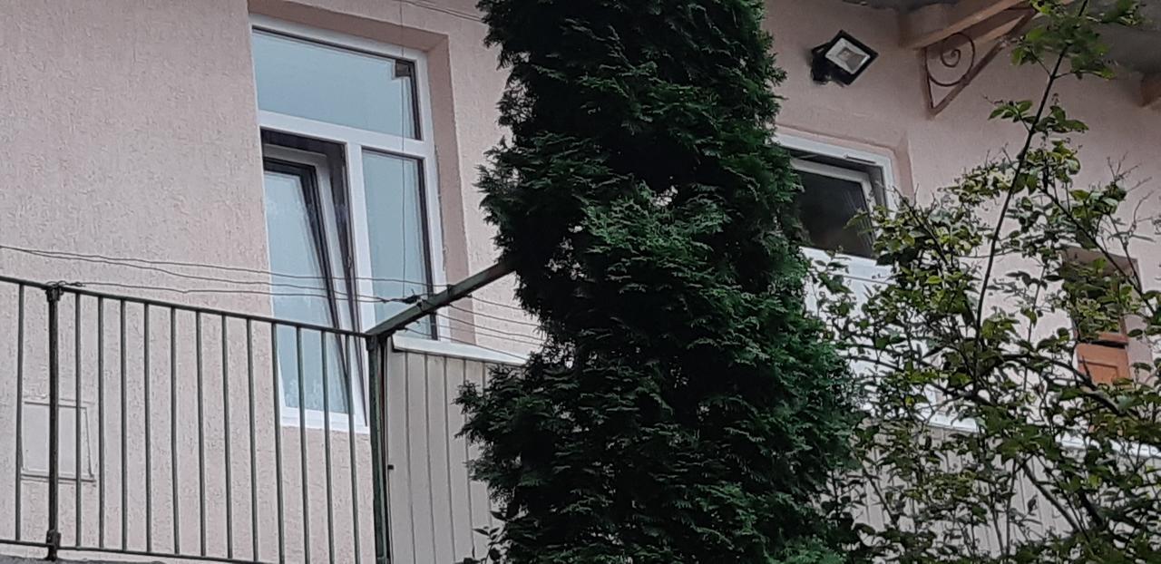Transfer Apartment リヴィウ エクステリア 写真