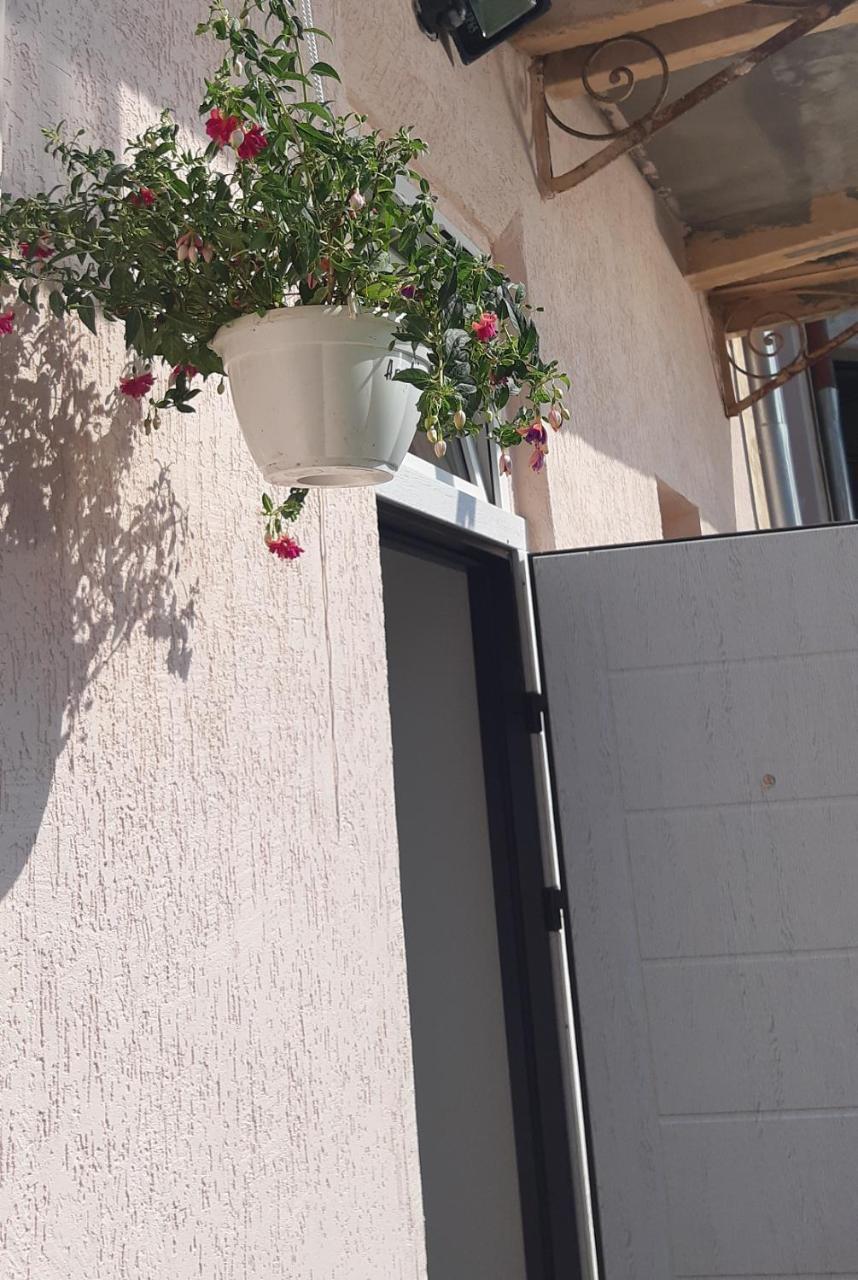 Transfer Apartment リヴィウ エクステリア 写真